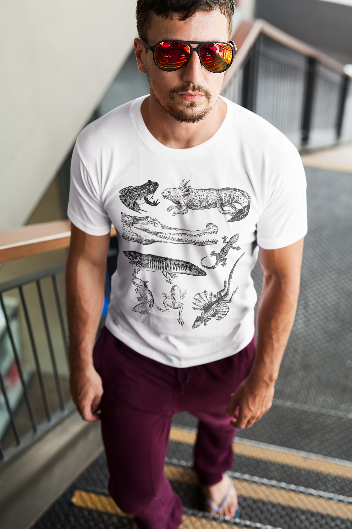 Herpetology Shirt, Reptiles & amphibians vintage style shirt, reptile shirt, amphibian t shirt, Herpetology Gift, Lizard Tee shirt, frog tee
