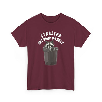 Stressed but doing my best raccoon tshirt -  Cute raccoon shirt - funny t-shirt - meme tshirt - funny gift - cute graphic tee