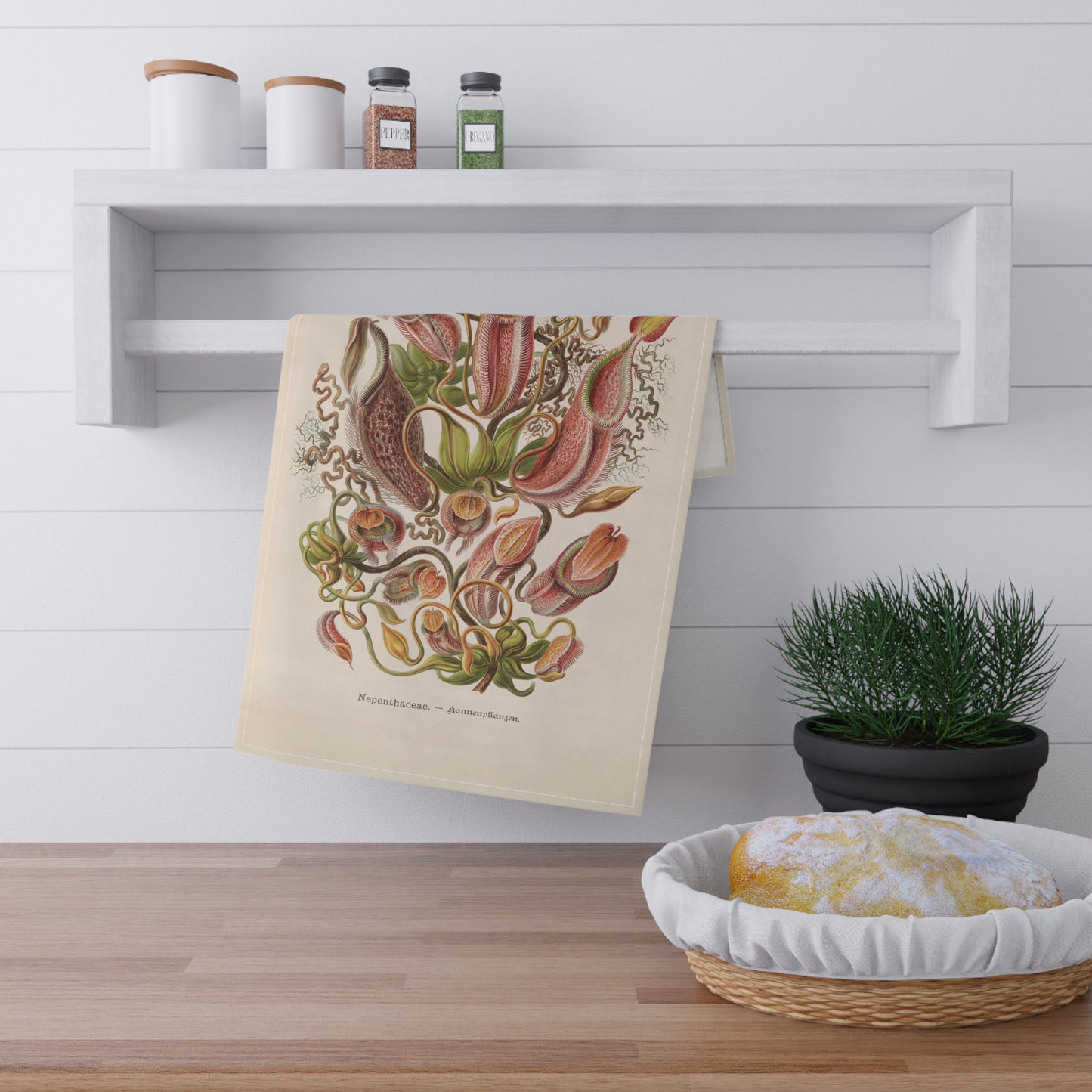 Nepenthes Botanical tea towel, carnivore flower tea towel, Vintage Botanical illustration, wildflowers kitchen tea towel, whimsical kitchen