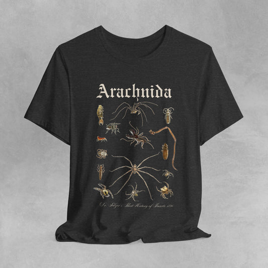 Arachnology T-Shirt with a vintage spider design inspired by Dr. Sulzer’s 1776 insect history, perfect for spider lovers, arachnology fans, and Cottagecore enthusiasts. Made from premium soft fabric, this t-shirt combines historical arachnid artwork with cozy Cottagecore style, ideal for casual wear or nature-inspired outfits.