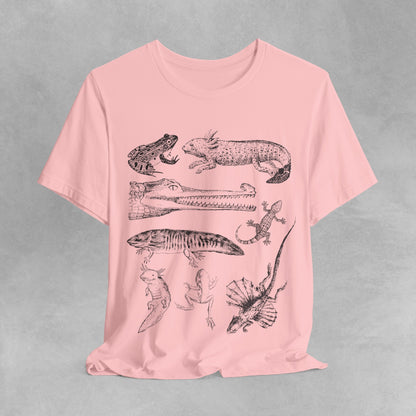 Herpetology Shirt, Reptiles & amphibians vintage style shirt, reptile shirt, amphibian t shirt, Herpetology Gift, Lizard Tee shirt, frog tee