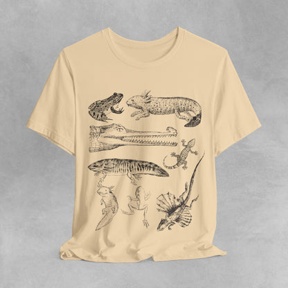 Herpetology Shirt, Reptiles & amphibians vintage style shirt, reptile shirt, amphibian t shirt, Herpetology Gift, Lizard Tee shirt, frog tee