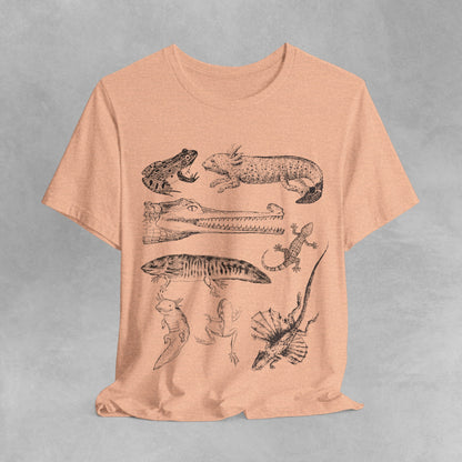 Herpetology Shirt, Reptiles & amphibians vintage style shirt, reptile shirt, amphibian t shirt, Herpetology Gift, Lizard Tee shirt, frog tee