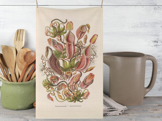 Nepenthes Botanical tea towel, carnivore flower tea towel, Vintage Botanical illustration, wildflowers kitchen tea towel, whimsical kitchen